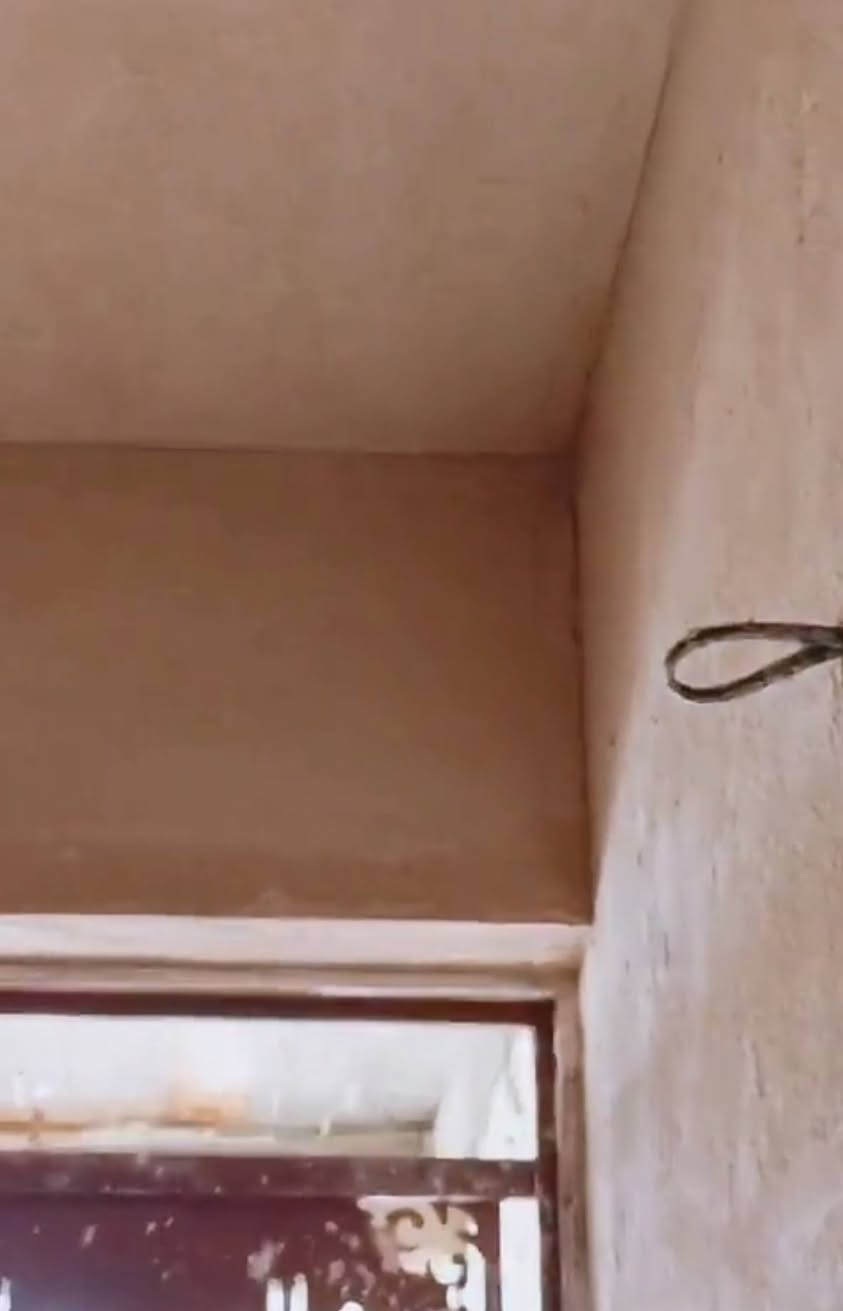 سلام عليكم اني خلفه البخ جص وسمنت متفرق حالين شغل درجه وله ومناسب وطلع بل يوميه وخذ كبالَات وعل متر اخذ المتر جص وسمنت ٥ الف *********** مكاني نجف شتغل نجف
