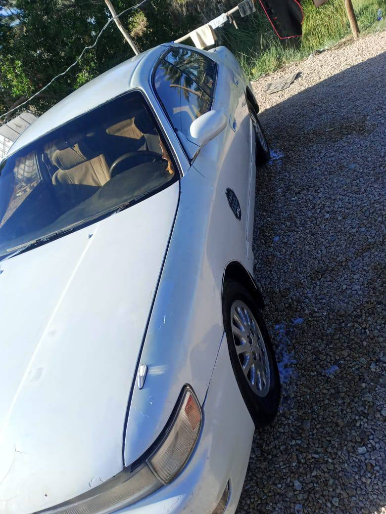 سلام عليكم  للبيع  شيزر للبيع مكفوله من كصه ومن نقلل جثه بيه ضربه بل جمللغ لوره جيت لسدر سعره 39 وبيه مجالل مكاني ديوانيه قضه لمهناويه متواجد فيس


**إذا كنت صاحب هذا الإعلان وتريد حذفه لأي سبب، رجاءا أرسل رسالة إلى الدعم الفني**