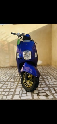 ماكس بوليسي • 49 سلف • بلاد بوشه