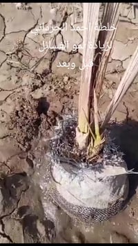 خلطة احمد الحرداني • قبل وبعد • للحجز