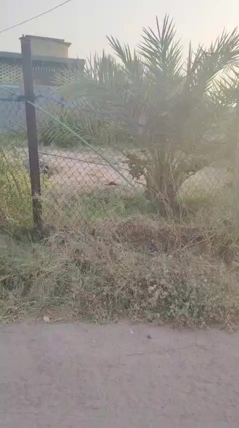 دار للبيع قريب الحسينيات عمود 649 المساحة الكلي 700مساحه البناء 210 بناء درجه اولى طابوق جمهوري عقد زراعي قرار 35
مدارس ابتدائية ومتوسطة
*********** السعر خاص
