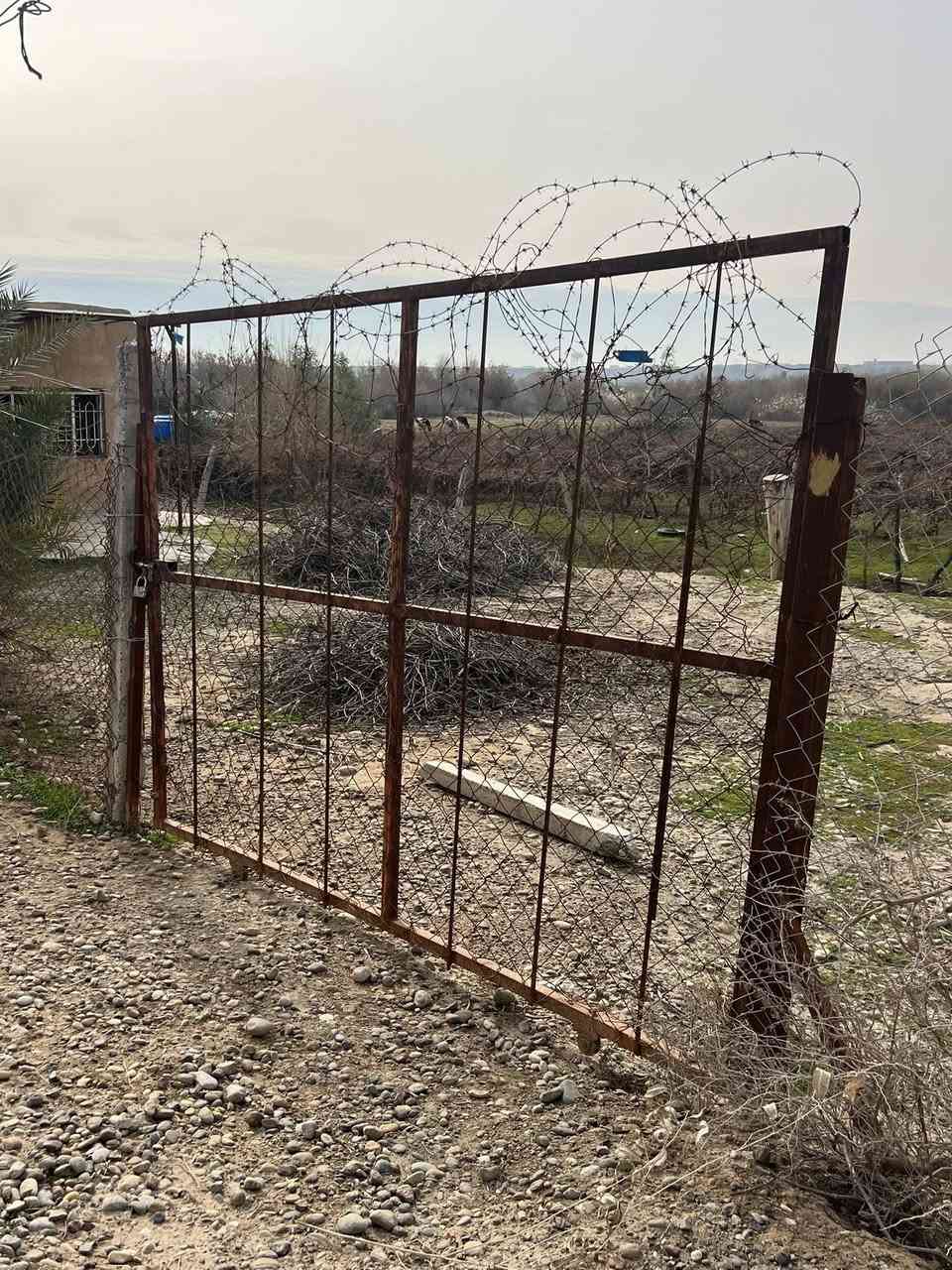 السلام عليكم
محتاج فلاح مزرعه كامله من حمضيات ( برتقال رارنجي ،لومي حامض عراقي ) . ونخل (خضراوي ،زهدي،خستاوي،سكري )حمال وعنب(حلواني )في صلاح الدين تكريت منطقة البوعجيل للتواصل ***********
