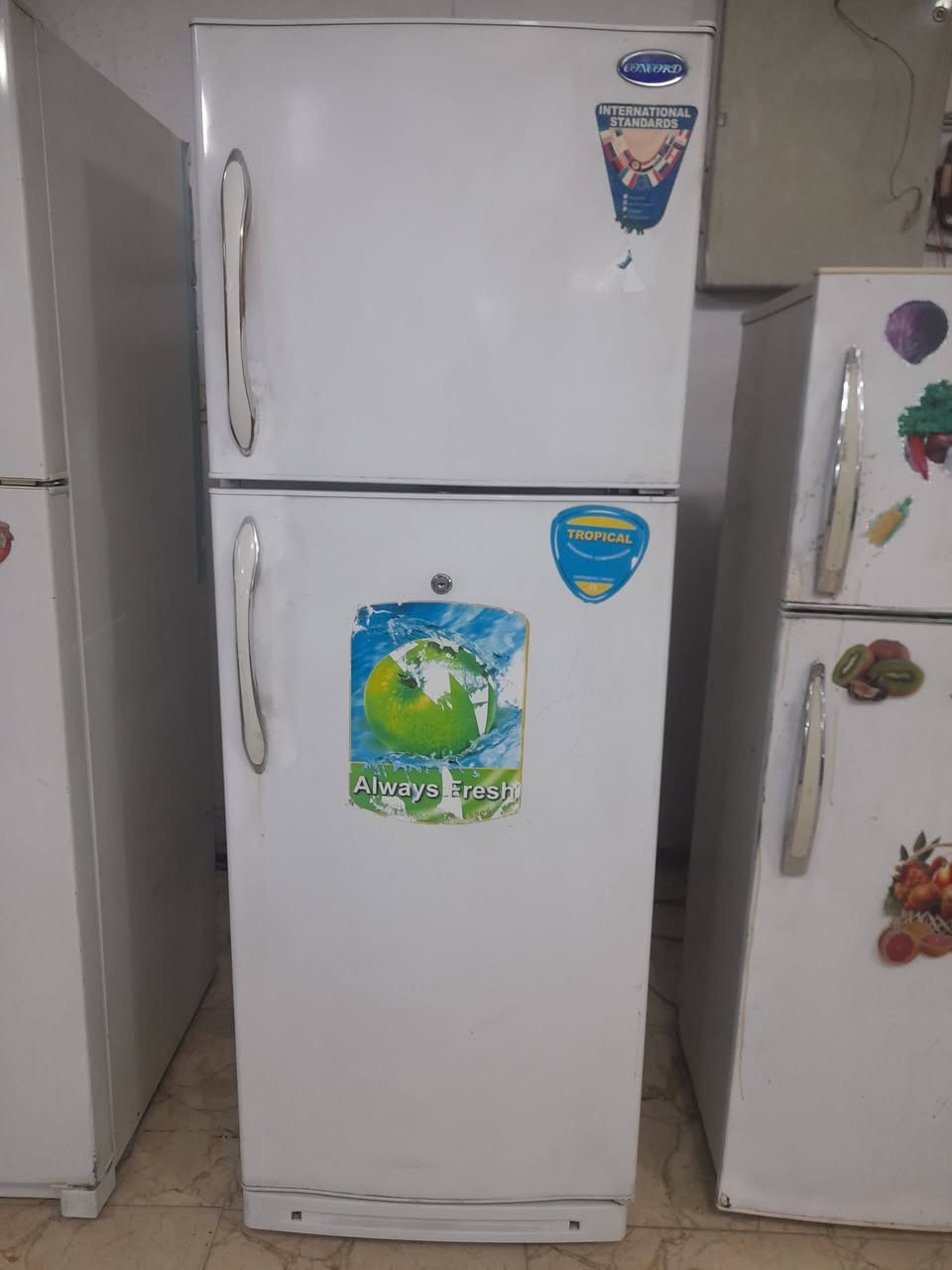 ثلاجات باله درجه اولى وماركه على الشغل ولنضافه )   واسط قضاء الزبيديه مقابيل المتنزه الكبير(على النهران مجمع السلطانه)***********/***********(ومن الله التوفيق)(أوقات العمل  من ٨صباحآ الى ال١١مسائآ ) وبخدمت الزبون ما يطلع من المجمع اله هوه راضي علينه
