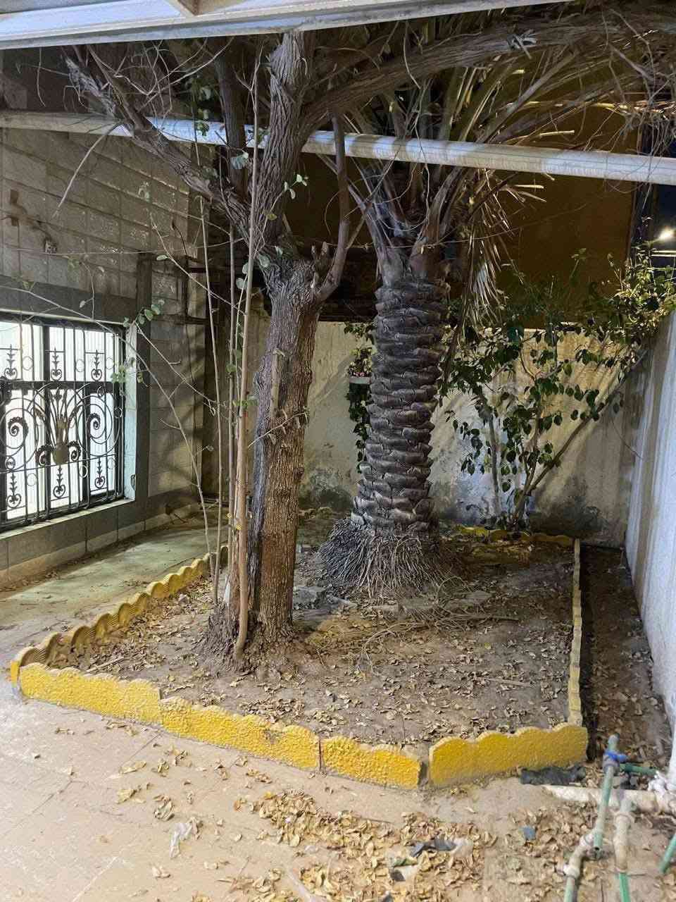 للإيجار بيت المساحة 210 بيت طابقين يحتوي على 5 غرف منام مع صاله وديوانيه ومطبخ ويحتوي على 3 صحيات وحديقه وكراج
للاستفسار الاتصال على *********** 
المكان البصره الجمعيات حي الخليج 4 قرب شارع بغداد 
ملاحظة:سعر الايجار مليون وميه
