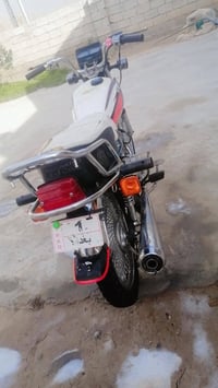 تايكر 2019 • دواير جدد • بلا أوراق