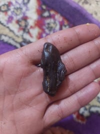 هبهاب • حدود سوريا
