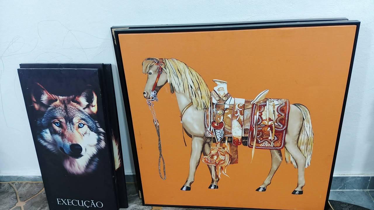 كلمن وسعره شراي اتفضل خاص

 *********** بي واتساب
