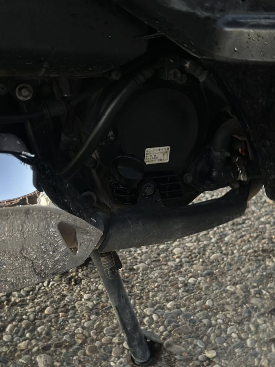 هۆندا. فۆڕزا.010
شکاوی لەگیانیا نیە 
مەکینە ٢٥٠ cc 
قاچ حاسە.لایت کراوە بەلید  
25هەزار ڕۆشتوە.  
چوارمۆد 
گێڕ و مەکینەی. بەشەرت هەزار وەستا. 
ماشەللە ماتۆرەکە لۆک لۆکە
 
بۆ سعر پەیوەندی بکە: ***********
