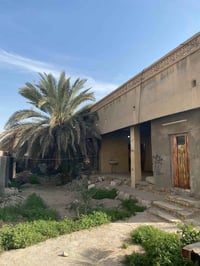 بستان مع دار كبير 300م لبيع مساحه الكليه 1800م الاستفسار عبر الارقام 0...