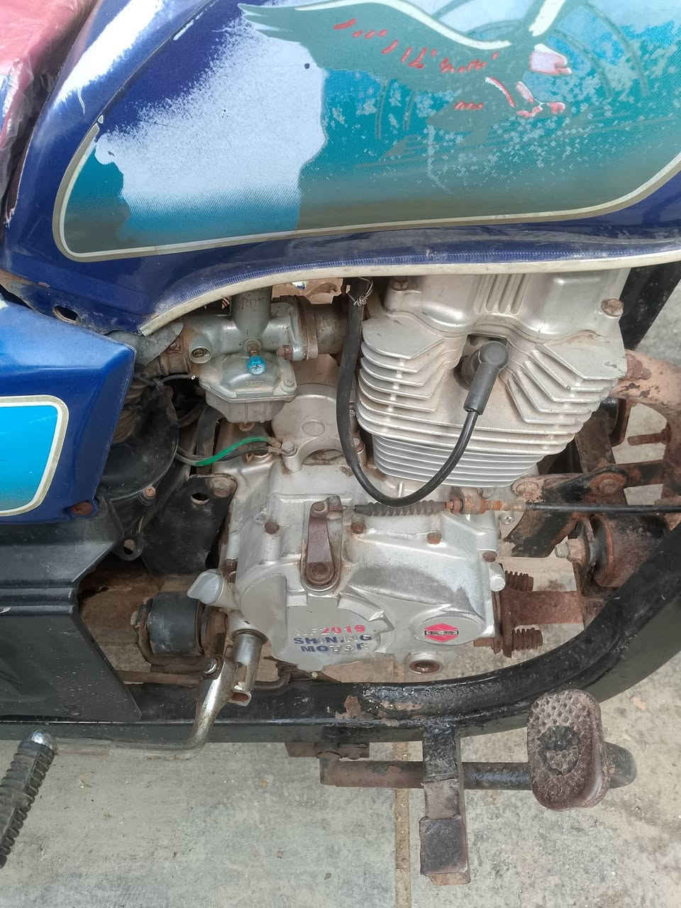 السلام عليكم شباب ستوته البيع موديل 19 اوراق أصولي ستوته نضيفه كدام عينك لا صبغ ولا لحيم على وضع شركه دراجه ما متعوبه نضيفه بس الحصيره جارده سعره ماليون 650وبيهة مجال حك جيه بس العنوان الديوانية الحمزة الشرقي رقم تلفون تصل بي وتساب ‏‪***********‬‏
