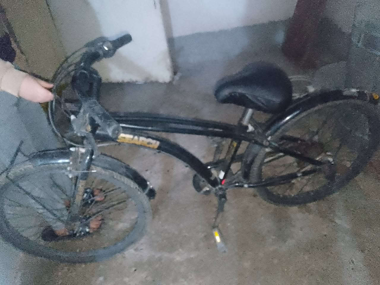 السلام وعليكم عندي بايسكل اللبيع حجم 24 حي الصلاحيه السعر 85 وبي مجال بسبي عطل  التايره  الطير شقال ناحيته حمام العليل


**إذا كنت صاحب هذا الإعلان وتريد حذفه لأي سبب، رجاءا أرسل رسالة إلى الدعم الفني**