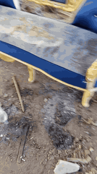 تخم كبير للبيع الاستفسار على الرقم 07810542545 الشاعر ابو جعفر البلداو...