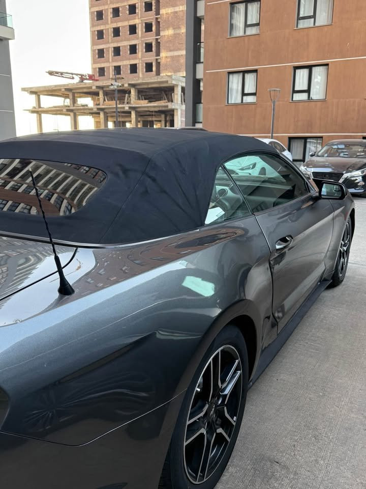 للبيع فور موستنك 
الموديل: 2019
الضرر: حادث جانبي جمالغ سكن وباب سكن وربع جاملغ خلفي صبغ بدون دواخل بدون ارباك
مكينة وكير بشرط
ممشى السيارة 78 الف مايل
سنوية باسمي تحويل او وكالة بشرط
عنواني اربيل 
السعر: 134 وبي مجال بسيط
واتس:
*********** أربيل, العراق
