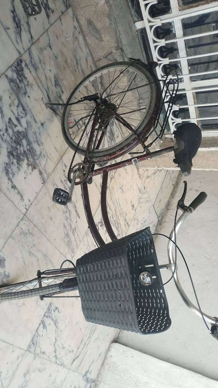 بايسكل البيع بناتي نضيف كلش حجم ٢٤ ياباني سعر ٦٠ وبي مجال الييريدة يطب خاص


**إذا كنت صاحب هذا الإعلان وتريد حذفه لأي سبب، رجاءا أرسل رسالة إلى الدعم الفني**