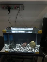 حوض ديكور • ليد أبيض • ٤٥×٣١×٢٦ سم