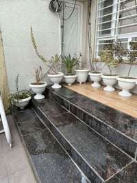 قحوفي • زرع • للبيع