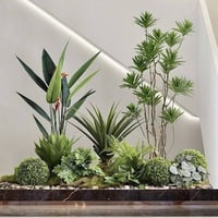 تنسيق حدائق • فرش ثيل • الانبار