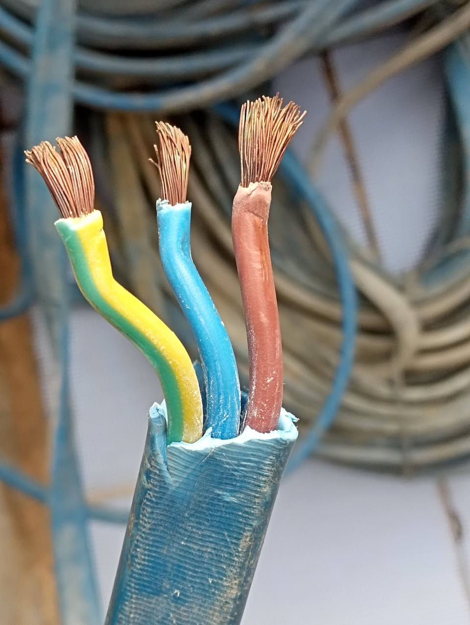 السلام عليكم
كيبل ثلاث خطوط تركي يرهم للماطورات الصناعية والورشات الصناعية ويرهم مغذي في التأسيس المنزلي ويرهم خط رئيسي للمكيفات والسبالت و الگيزرات ويرهم هواي شغلات 

فولتية من 450 الى750 .

ابيع على المتر الشراي يتفضل خاص او اتصال على الرقم ***********
