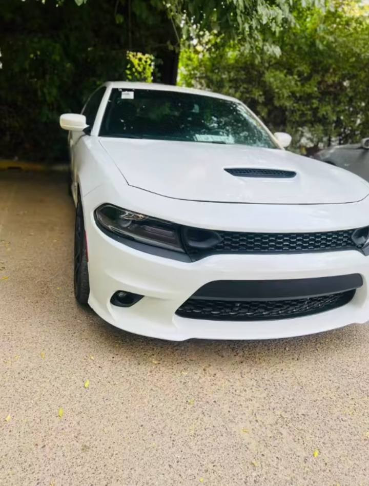 2021فول موصفات محرك 5700 فتحه بصمه ردرات ويل اصلي ابو النكره
تشغيل عن بعد وارد امريكي فقط الجاملخ 
شرط السونار 
سعر السياره 160 وبيه محاى حك الجيه
المكان حله ورديه خارج متواجد عل هاتف فقط ‏‪***********‬‏
