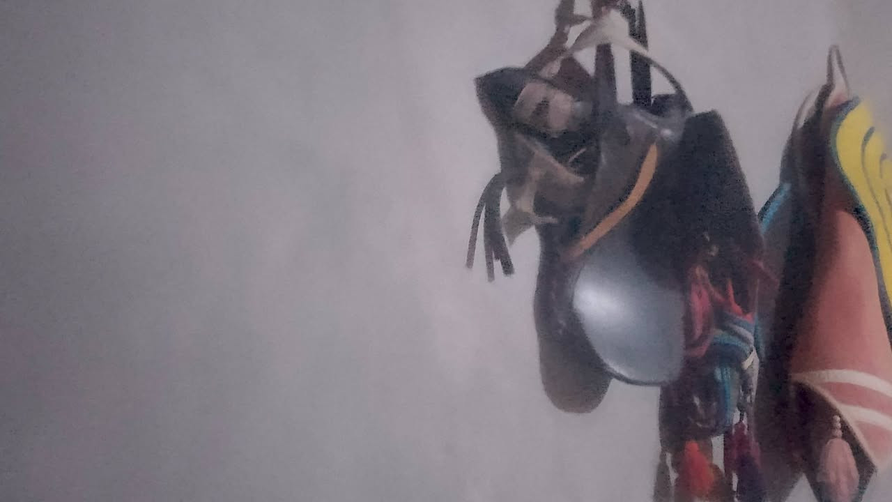 البيع سرج فرس ويا الباده ثنين والجام زنكيات وسرج وسعر ١٢٠وبي مجال
وهذه رقم صاحبو ***********
