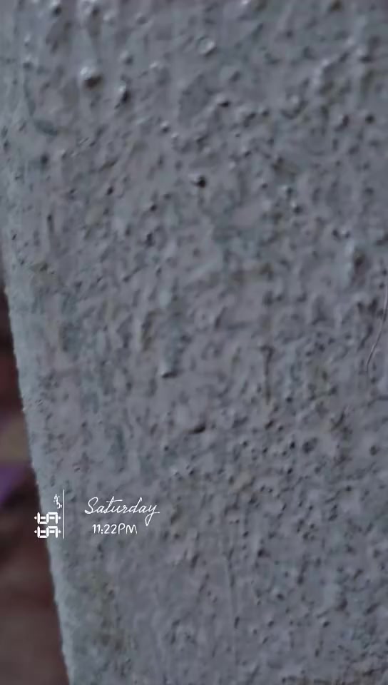 سلام عليكم بايسكل البيع باناتي حجم 26 بايسكل كامل سعر 75 مكاني كوت شارع 40 وال شراي يجي خاص 🫡


**إذا كنت صاحب هذا الإعلان وتريد حذفه لأي سبب، رجاءا أرسل رسالة إلى الدعم الفني**