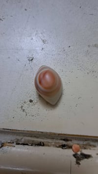 جزع يماني • خام • بغداد