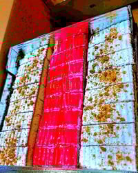 كيك مناسبات • ٣٢ قطعة • توصيل مركز كربلاء