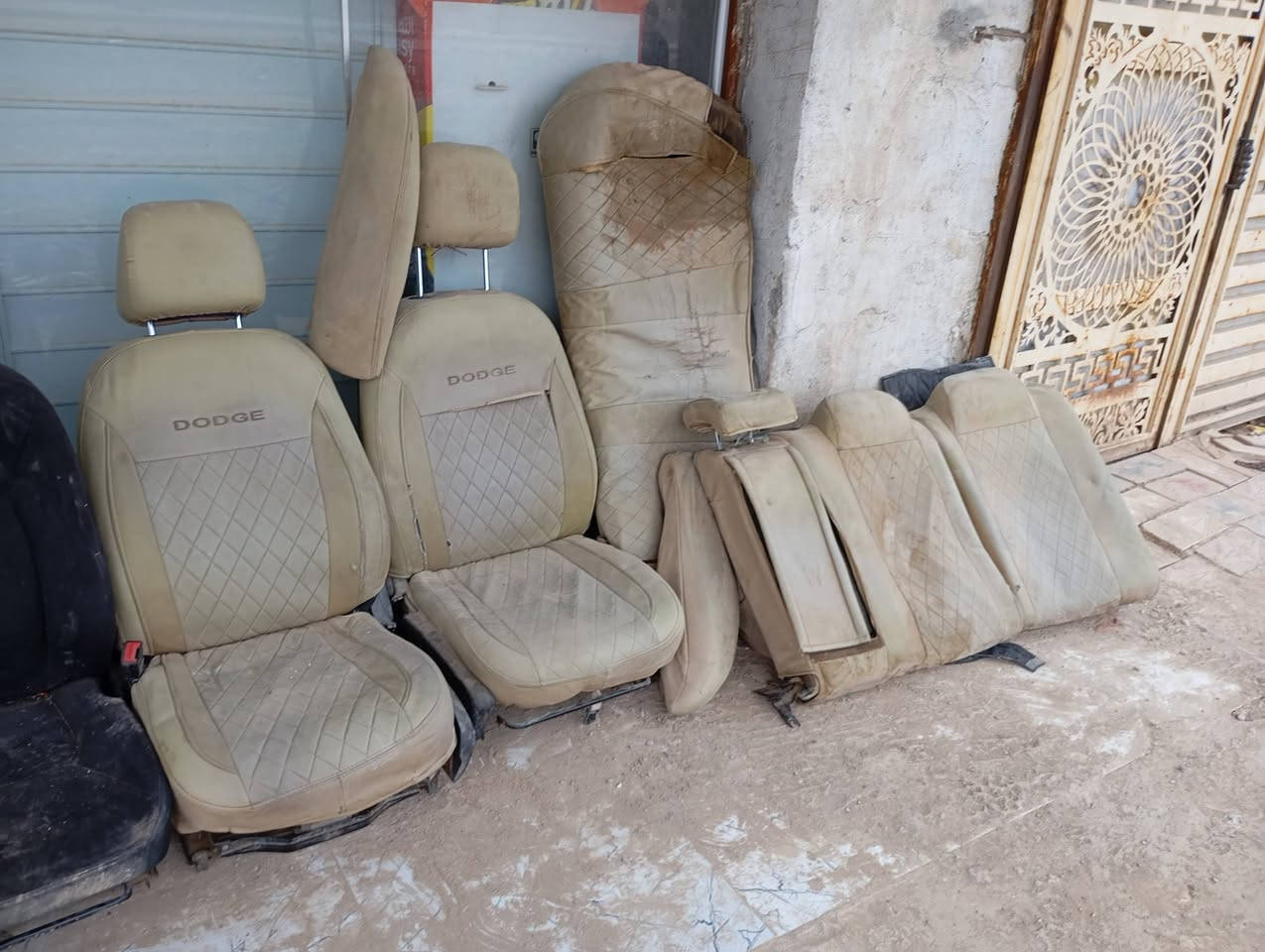 كشنات جارجر 15 كشنات اوباما 14 السود كشجنات جارجر 14 سلف دعاميه كامله هيه ولايتها دعاميه مالت كيه اوكتيمه تسعه بيها كسر دركه مالت استيرن وكبسوله مال 14 اسبايدر مال 14 لون اسود اسعار مناسبه
‏‪0788 329 3600‬‏
