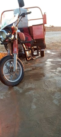 ستوته • مكان شوملي • جناي