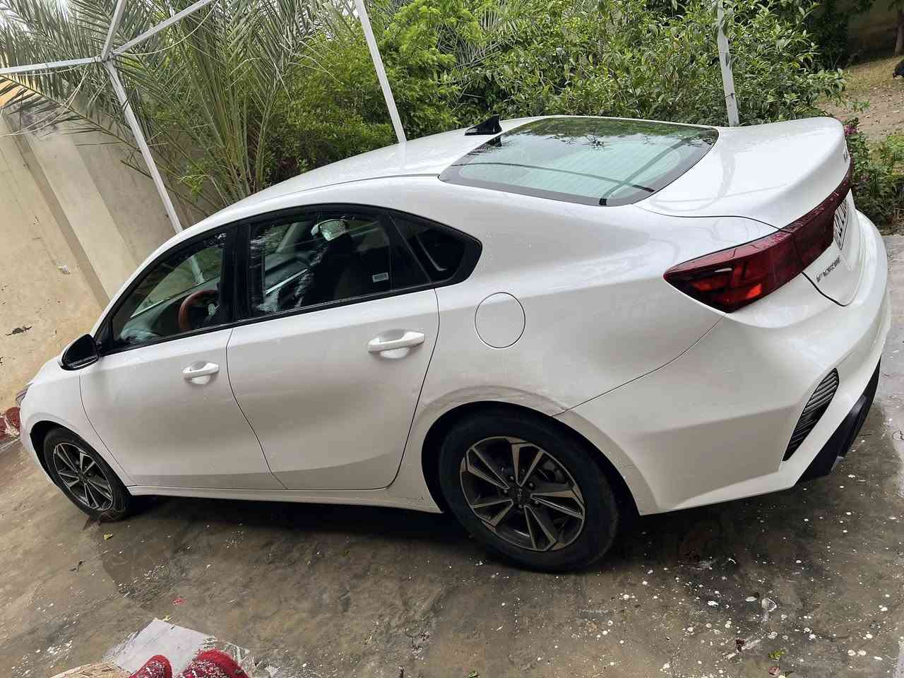 فورتي2024امريكي للبيع
ماشيه27

الون ابيض

محرك 2000 دوش 

ثلاث انضمه قياده 

سبورت 

نورمال 

ايكو 

المواصفات 

تحكم ستيرن جهتين

شاشه بلاديه 

المحافضه على المسار 

مانع انزلاق 

ويل كب بلادي 

كامره دواره 

رادار امامي 

3KPF24AD4RE781722

حادثهاجاملغ امامي بارد   وبيها بارد ب الجاملغ الخلفي بدون قطره صبغ

السياره ليبل واحد 

السياره خير من الله 

السعر 155وبيه مجال ***********
