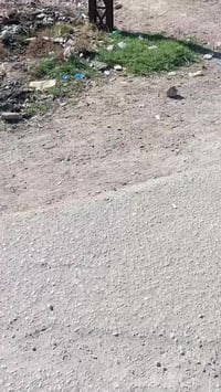 بابل المسيب • قطعة ركن • ٢٢٠م