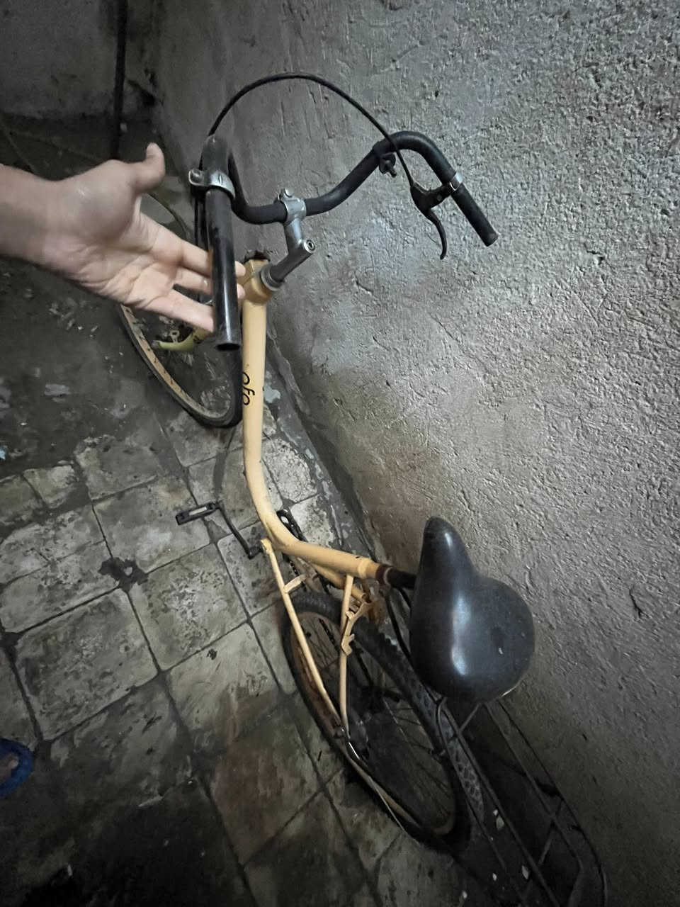 بناتي وسط سعر فقط ٤٠ الف بدل بس صلح البريكات وسوق


**إذا كنت صاحب هذا الإعلان وتريد حذفه لأي سبب، رجاءا أرسل رسالة إلى الدعم الفني**