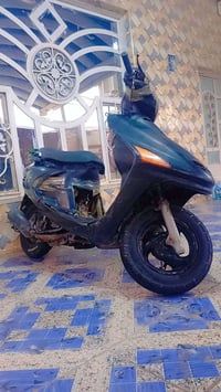 دراجة فراشة • فحل • حي الوحدة