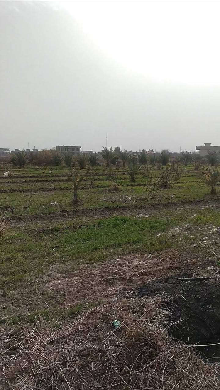 🔥 دونم للبيع 🔥
📍 الفلوجة – النساف
📐 المساحة: دونم واحد
📄 الطابو: سند 25
🛣️ يبعد 200 متر عن الشارع العام
🚧 على شارع تبليط جديد عرض 12 متر
📏 الواجهة: 60 متر
📐 النزال: 42 متر
💧⚡ خدمات كاملة: ماء وكهرباء
🏡 مناسب للسكن والاستثمار
📞 للاتصال: ***********

💬 واتساب مباشر:
👉 https://wa.me/9647808911638
