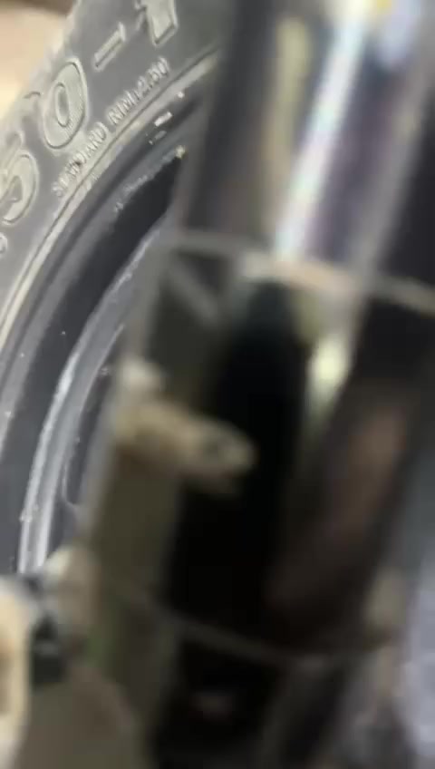 سلام عليكم ماكس عدله بوشه ٥٥ بلاد
سعر ٧٥٠ مستعجل على بيعتها مكاني كربلاء رقمي ***********
