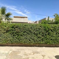 تنضيف حدايق  ترتيب تقليم زرع  07503245028