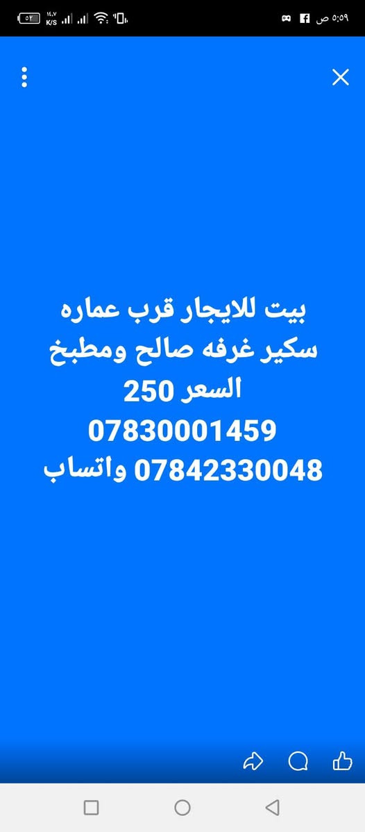 توجد بيوت ايجار داخل الشطره
