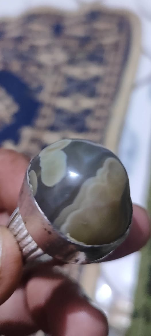 سلام عليكم للبيع سعر الواحد 75


**إذا كنت صاحب هذا الإعلان وتريد حذفه لأي سبب، رجاءا أرسل رسالة إلى الدعم الفني**