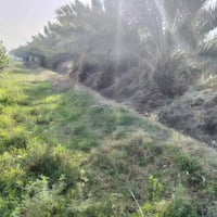 لحك بسعر البلاش  امتلك أرضك اليوم، وابنِ مستقبل أحلامك غداً. قطع أراضي...