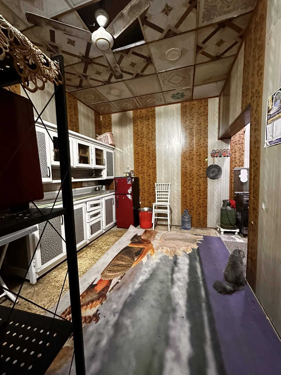 سلام عليكم دار سكن البيع
أبو الخصيب العوجه يبعد عن طريق 
العوجه تقريبن 300متر 
طابو زراعي عراقي اصل 
مكون من غرفتين وديوان وصاله كلش جبيره
ومطبخ وحمامات داخلي وخارجي 
المساحه 200متر
السعر48 
وبي مجال
استفسار 
اتصل ***********
