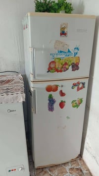 ثلاجه شغاله • ما بيها ضرر • تجميد فول