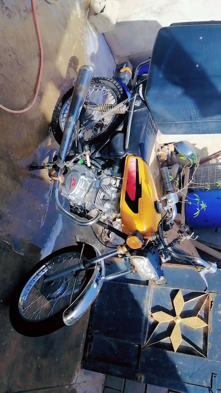 ضايعه اوراقه اكفلك سرقه وعشائر 

دراجه عينه ولايت ما مفتوحه شلع نهضه ومعدل ناعمه مال دلفري كله جديده ومو تعمير السعر 750 وبيه مجال مكاني بصره الحيانيه قرب مدرسة غزه رقم تليفوني *********** وانا خادم الشراي 🤎
