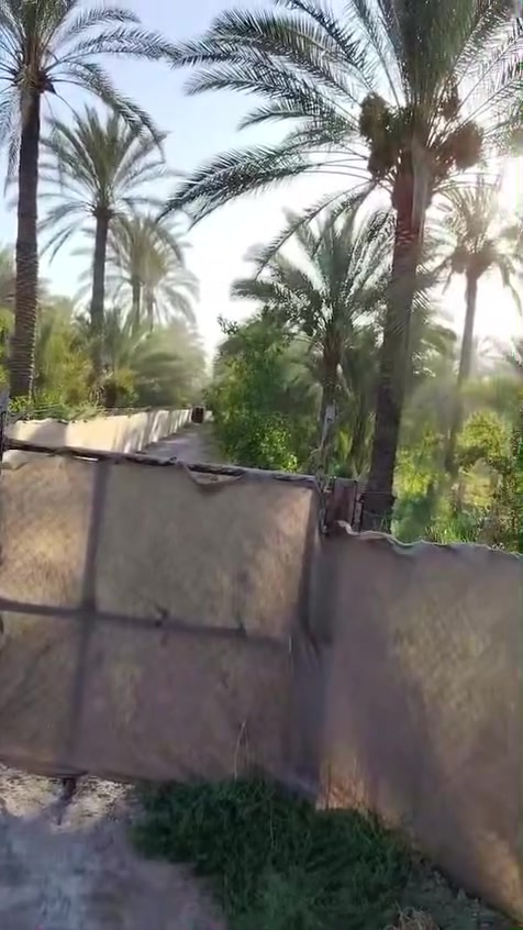 السلام عليكم بستان دونم وربع للبيع لبستان تحتوي على انوع من التمور والحمضيات خدمات كامله ماء كهرباء تبليط  وماء سقي ومال اساله الموقع بغداد الراشديه مركز الناحيه تحويل مباشر بـ اسم المشتري التفاصيل داخل الفيديو الاستفسار ***********
