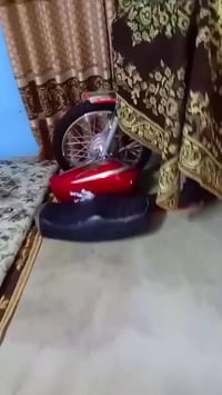 شلامجة • ٢٠٢٥ • كركوك