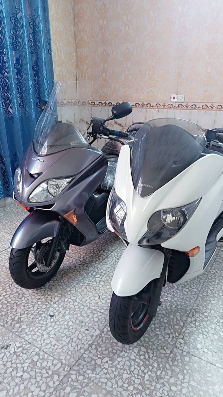 السلام عليكم
فورزات وكاله كفاله عامه
للاستفسار بالرقم ***********
العنوان بغداد بلديات شارع المصرف
يوجد لدينا توصيل كافت المحافظات
