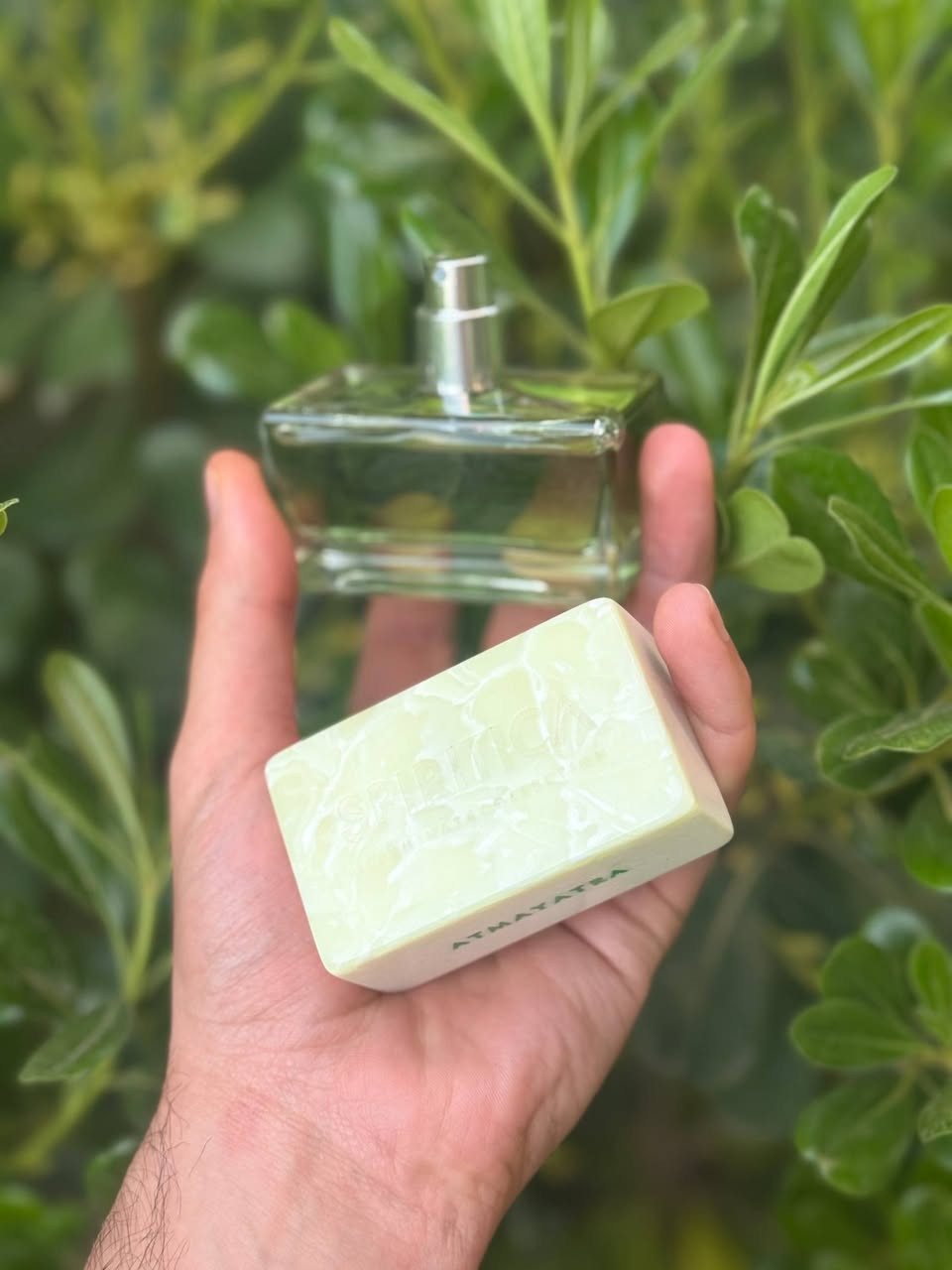 Atmayatra Spiritica
واحد من وحوش فی عالم عطور 
ريحة غريب جدا
عطر ايطالي جميل جدا

تركيز عطر %35
ثبات و فوحان مو طبيعي 

بالنسبة لي:
خلال 1 سنة و 3 اشهر اول مرة شممة عطر و اعجبت به لانة كل غريبب
مو مثل عطور اخر

ريحة عطر:
حشيش والنعناع ر الريحان و عمبر قوي من بداية عطر 
بعدين تغير لريحة كريمي بنكهة عمبر و  فانيلا نع رائحة عشبية 
 
شكل زجاجة جميل جدا مع حجر 
غريب مثل واضح في فيديو

متوفر بلاقسيم
3مل
12،000

5مل 
20،000

10مل
40،000


**إذا كنت صاحب هذا الإعلان وتريد حذفه لأي سبب، رجاءا أرسل رسالة إلى الدعم الفني**