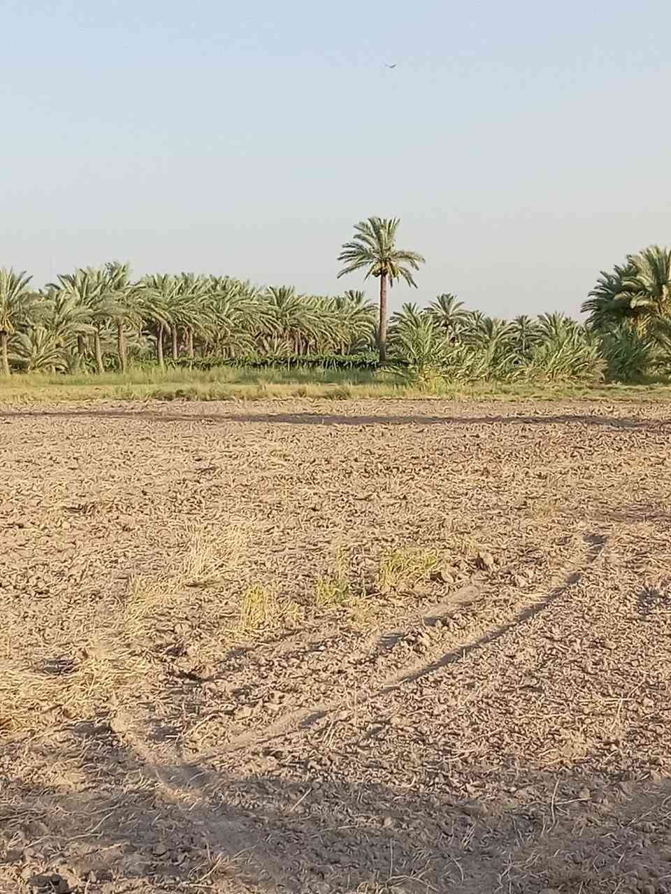 دونمين أرض للبيع
▪️ النوع: طابو صرف زراعي – سند 25
▪️ المعاملة: مداور، نقل الملكية باسمي خلال يوم واحد
▪️ الموقع: العلاك – نهاية شارع البوحموسة

🔹 المميزات:
تتوفر كافة الخدمات
ماء
كهرباء
مدارس قريبة
شارع مبلط
📹 جميع التفاصيل موضحة داخل الفيديو
📩 للاستفسار ومعرفة السعر:
مراسلة الصفحة أو الاتصال على الرقم التالي:
(***********)
