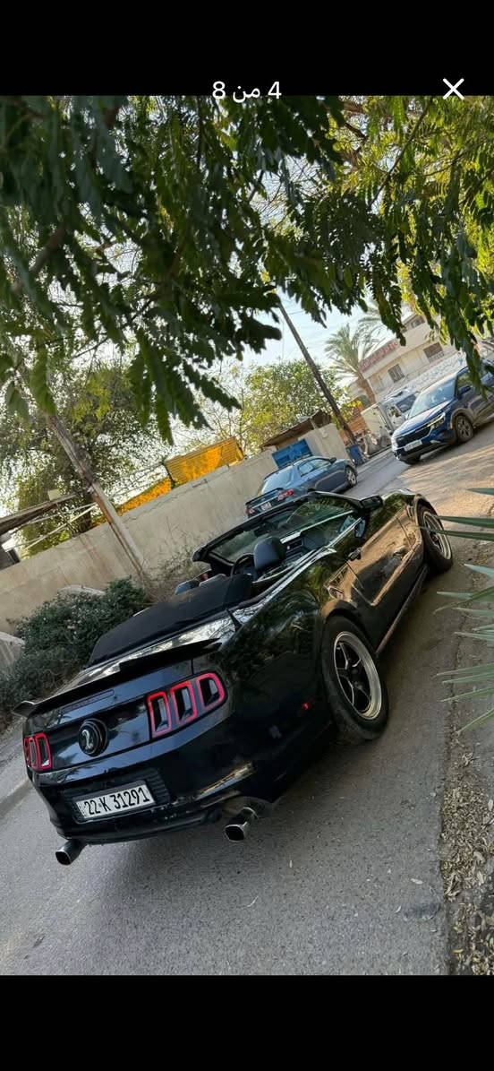 سلام عليكم موستنك 14 كشف 6 سلندر كير  مكينه بلاديه مكفوله  كشنات جلد كهرباء 
اوريكل ع مازدات 
دبات صوت مرتبه 
وياله ويلد 18 
مسطرة خلفيه شيلبي 
جناح شيلبي
السياره صبغ اربع قطع سونارها موجود بالصور
كشف شغال نضيف
حداديه 70 بالميه 
تراي السياره حلو وين مايعبجك
السعر85 وبيها مجال 
مكاني بغداد الكرادة 

‭٠٧٨١ ٠٥٦ ٥٦٢٣‬
