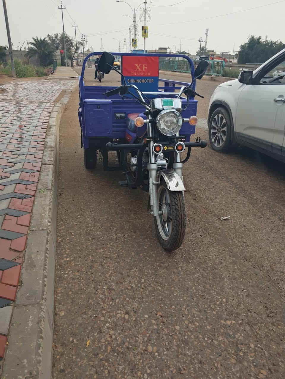 ستوته لبيع صالي ليوم رابع من طلعته من لوكيل وريد بيحه صار عدي ضرف حته لايتاته بعتهن بل كوارتين ما فاتحن ضامهن طلعته من لوكيل لبل عماره 3300 وريته 3100 وبيه مجال ***********
