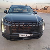 باليساد فول • ٢٠٢٣ • ٣٢ ألف ميل